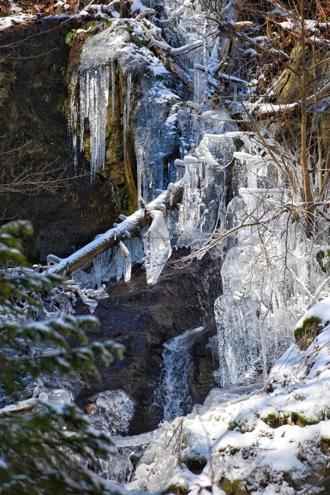 Auberge La Tete En L'Air Le Hohwald Exteriér fotografie