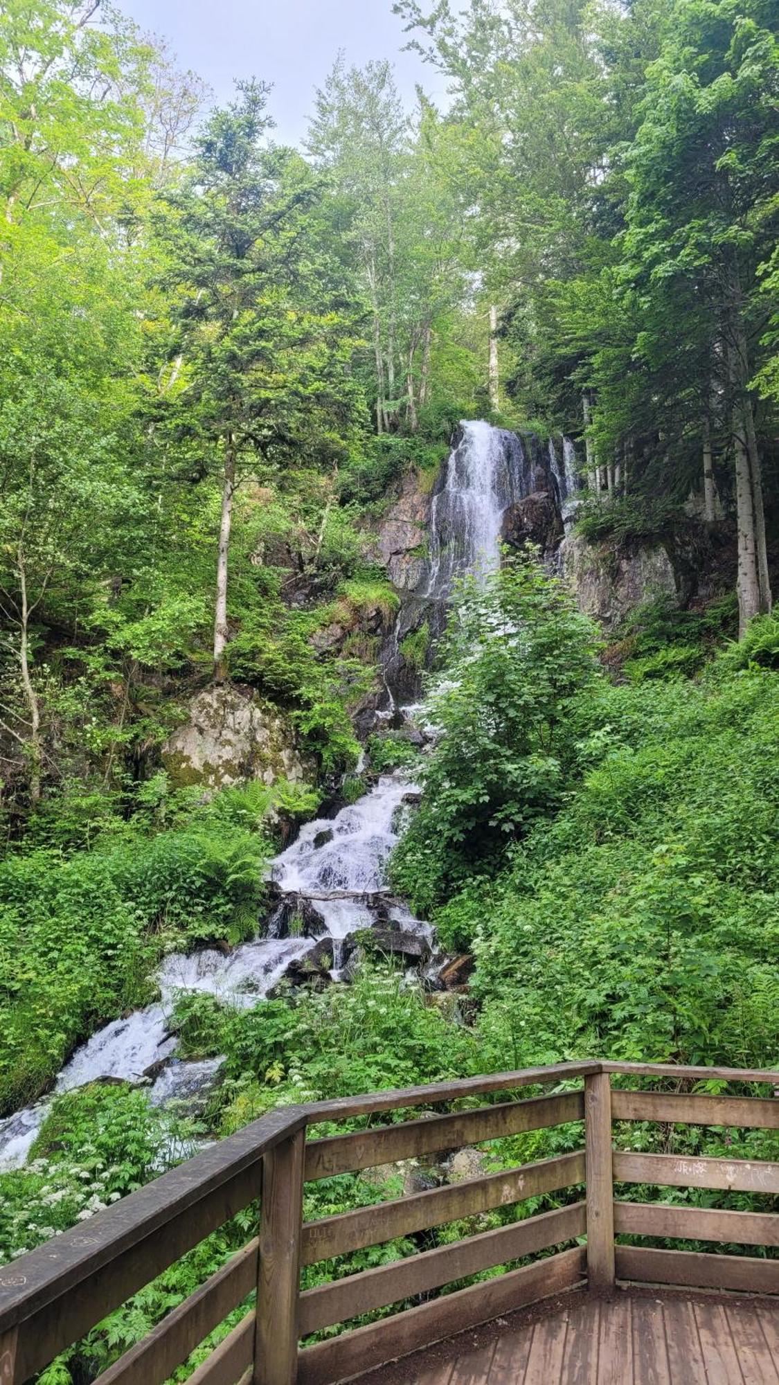 Auberge La Tete En L'Air Le Hohwald Exteriér fotografie