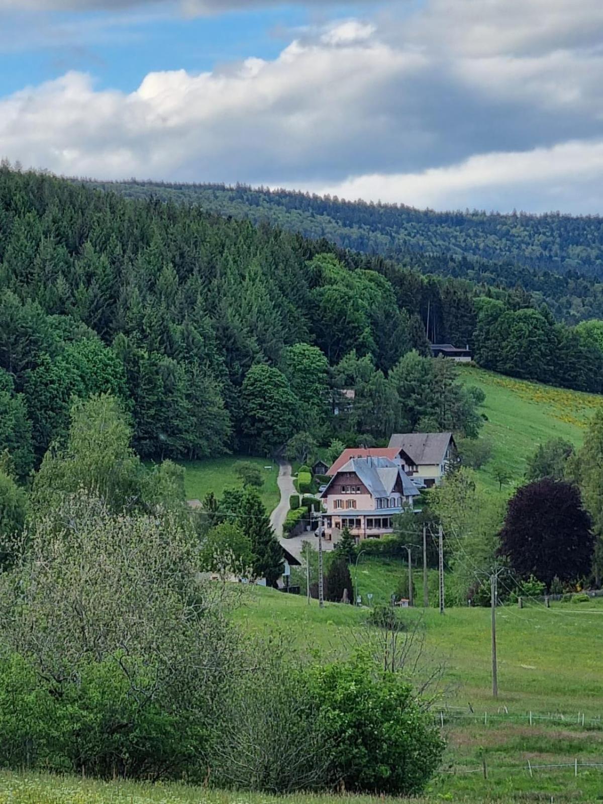 Auberge La Tete En L'Air Le Hohwald Exteriér fotografie