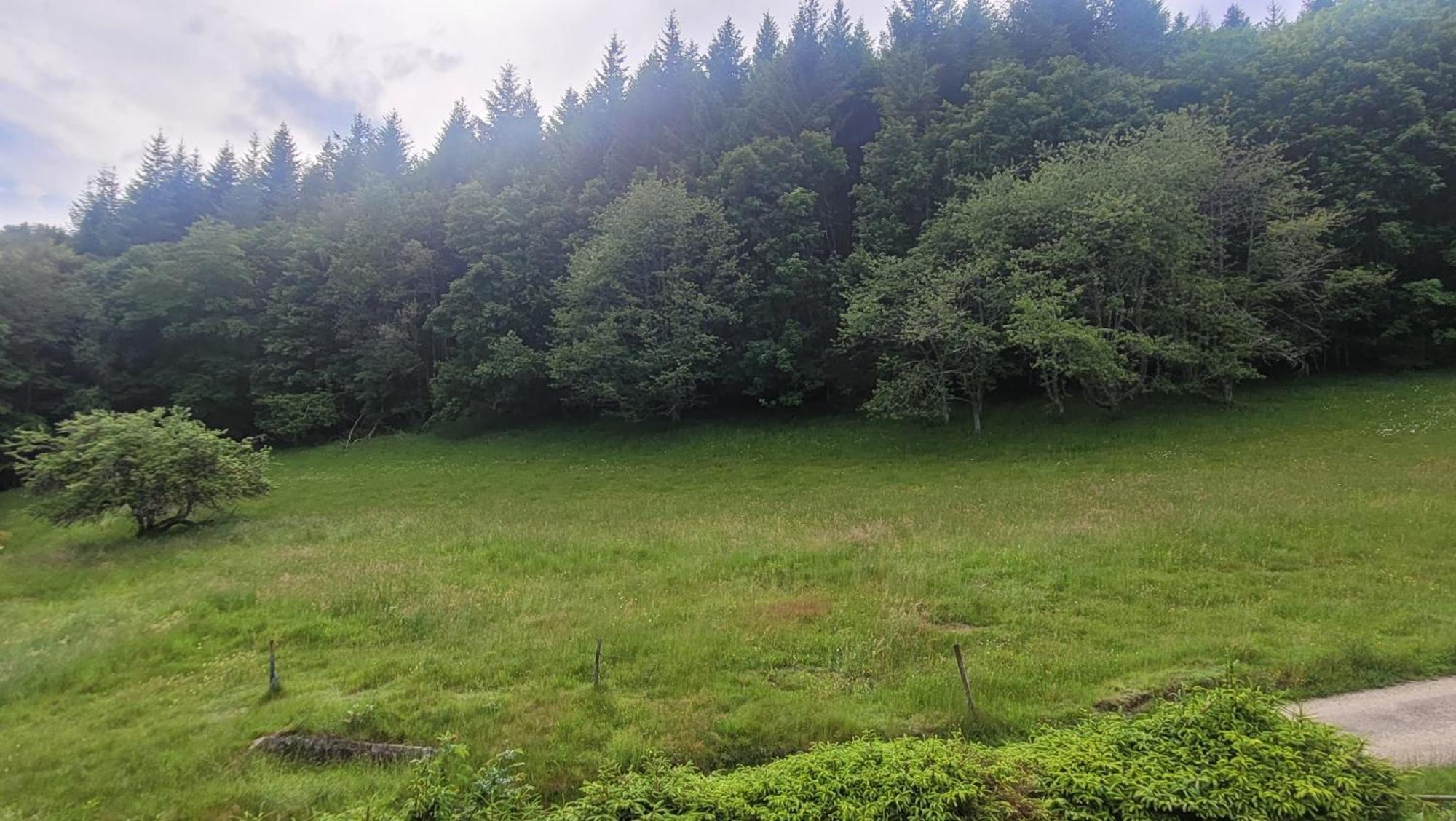 Auberge La Tete En L'Air Le Hohwald Exteriér fotografie