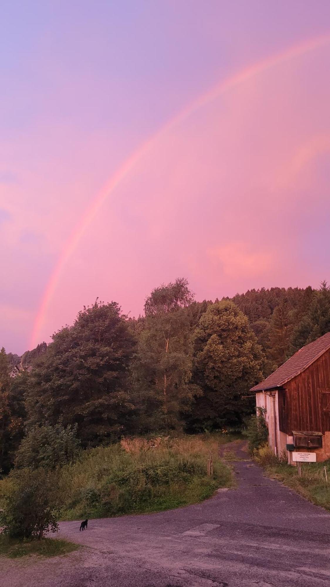 Auberge La Tete En L'Air Le Hohwald Exteriér fotografie